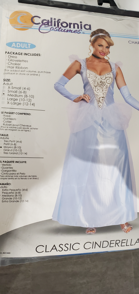 Adult Cinderella Costume