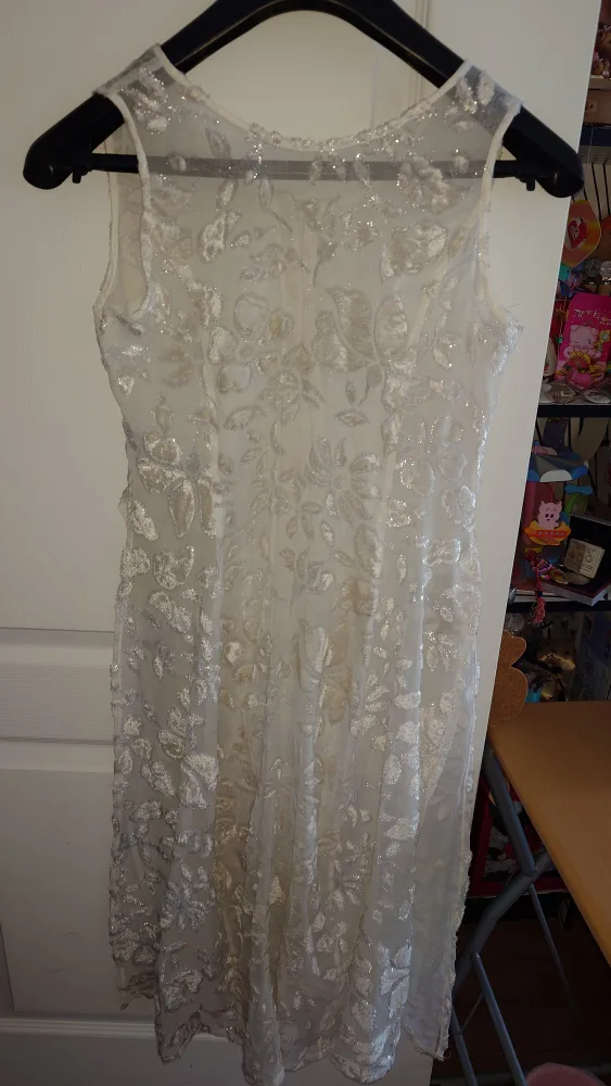 White Floral Sheer Dress image indicator(2)
