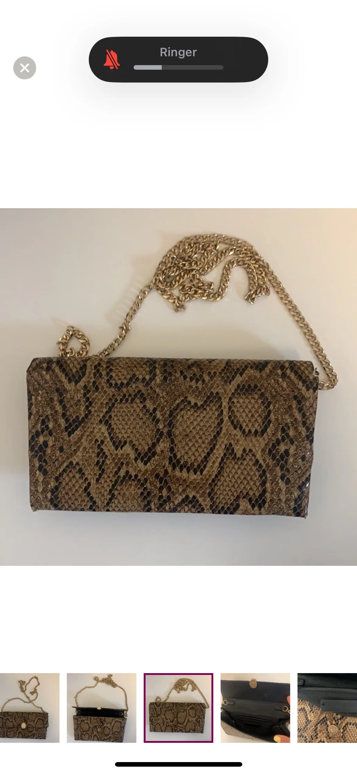 Mango clutch image indicator(4)