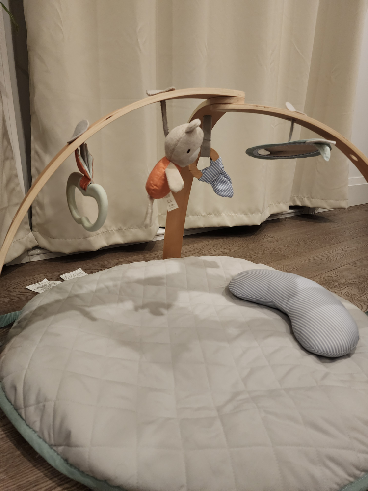 Ingenuity Baby Play Gym with Mat