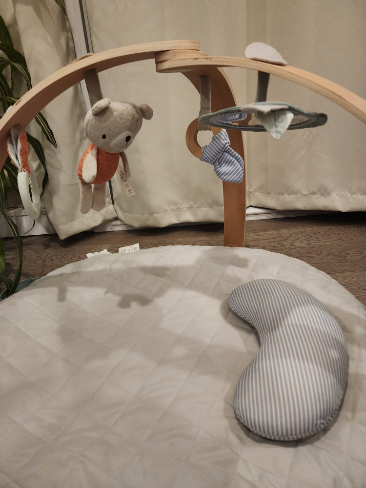 Ingenuity Baby Play Gym with Mat - photo 3