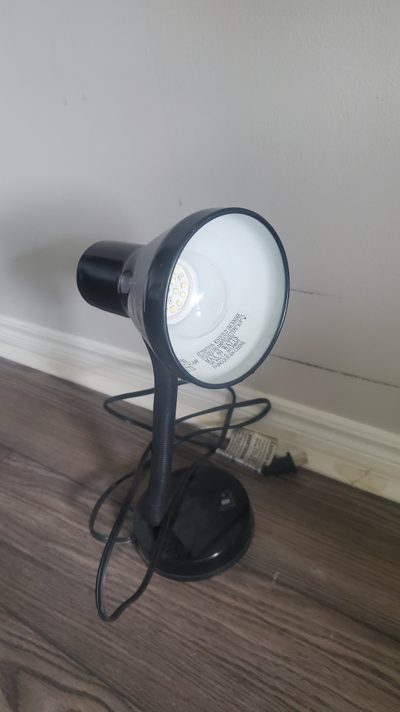 Black Desk Lamp with Flexible Neck