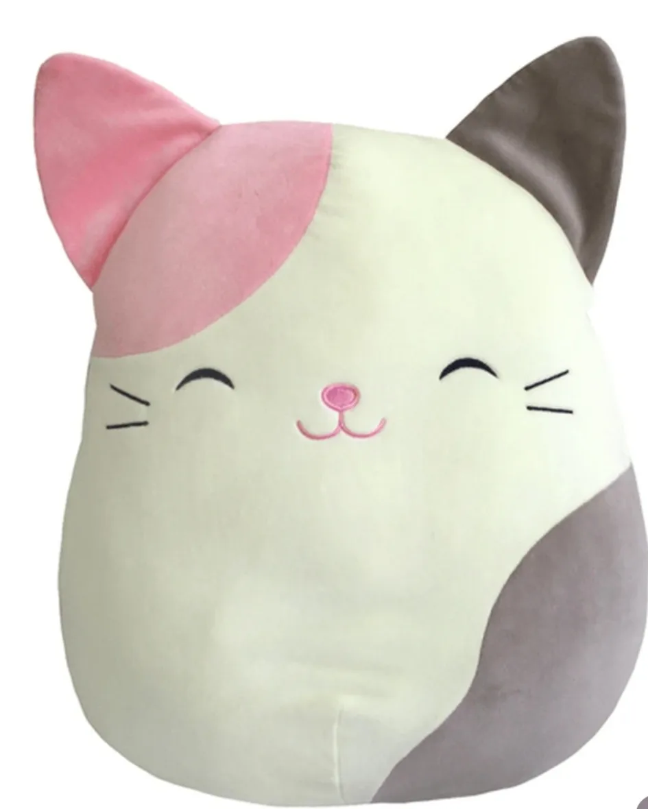 Karina Squishmallows the Cat Plush Toy thumbnail