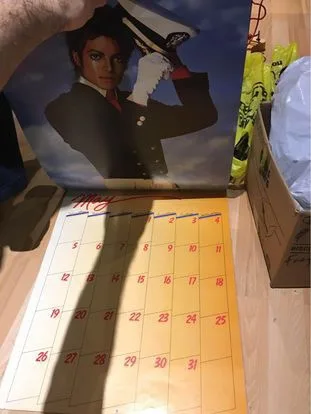 Vintage 1985 Michael Jackson Calendar image indicator(7)