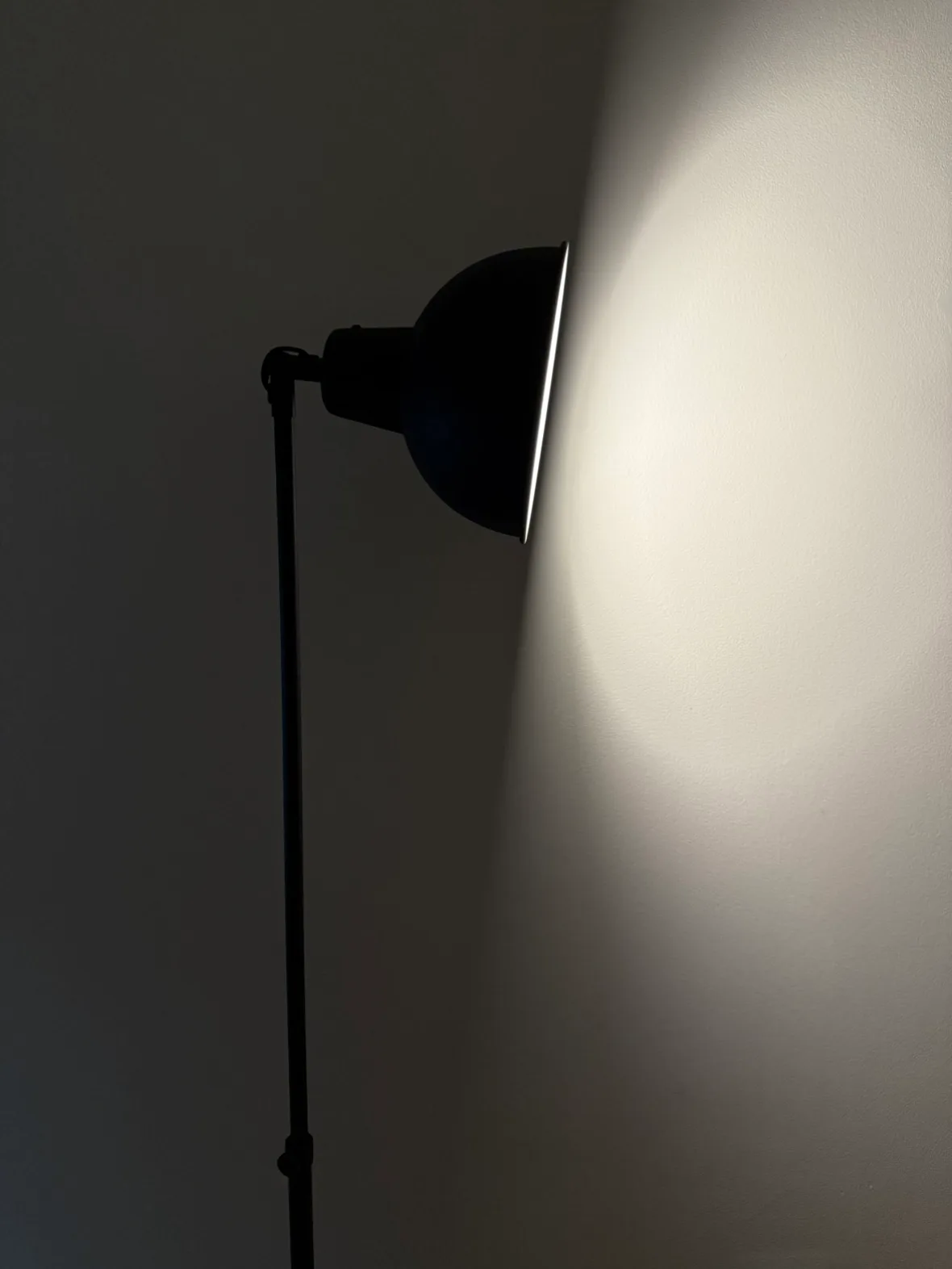 Black Floor Lamp (including a bulb) image indicator(6)