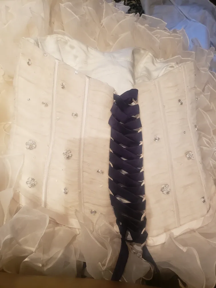 Wedding dress image indicator(2)