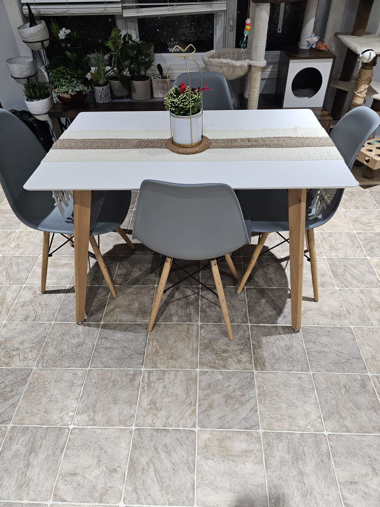White Dining Table and 4 Chairs