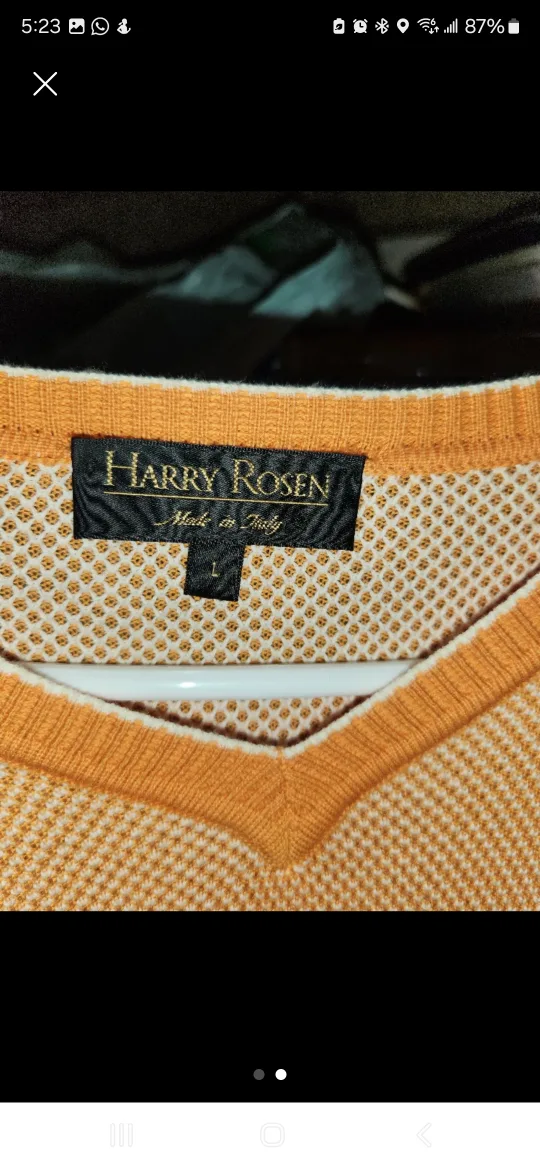 Harry Rosen Mens V-Neck Sweater image indicator(2)