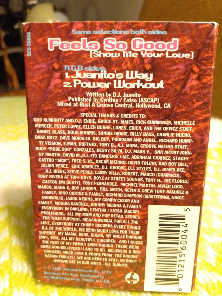 Lina Santiago - Feels So Good (Show Me Your Love) Cassingle image indicator(2)