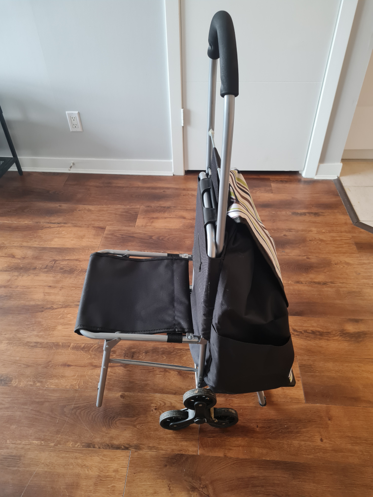 Rolling Shopping Cart with Folding Seat - photo 2