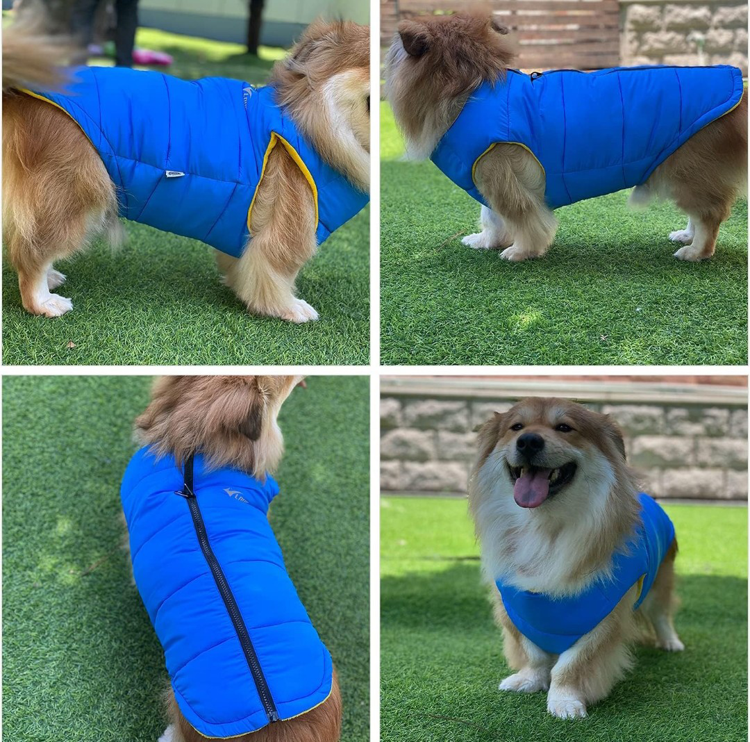 NEW!  Vest/Jacket  (Different Sizes & Colours) - photo 4