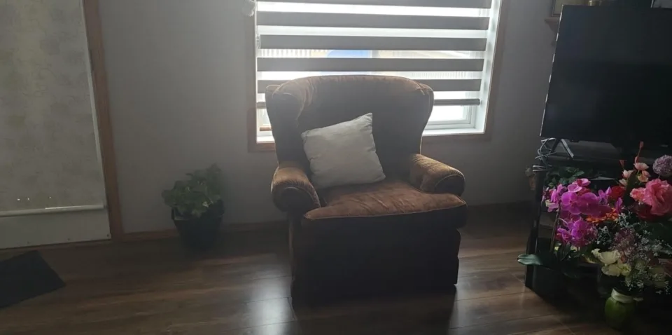 Brown Velvet Sofa and Loveseat Set image indicator(2)