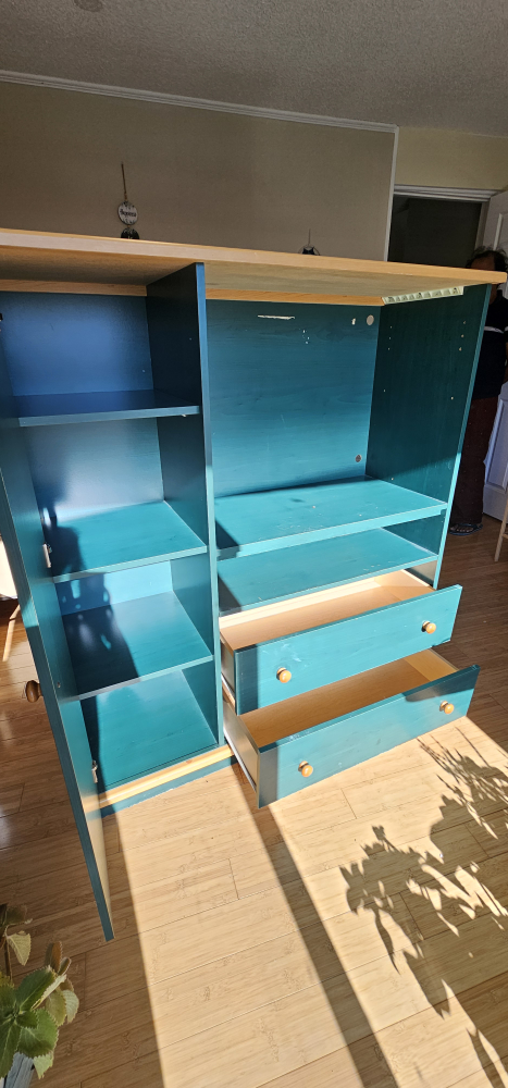 Teal Entertainment Unit with Cabinet - photo 3