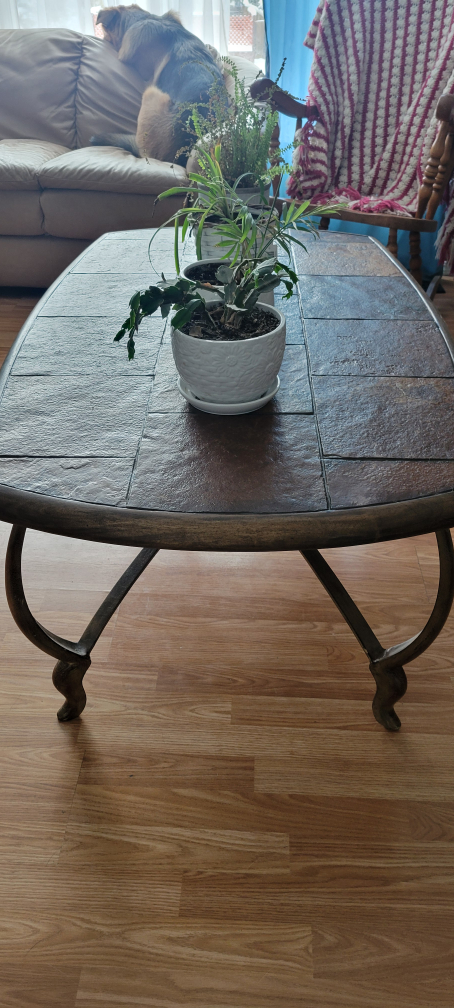 large coffee table