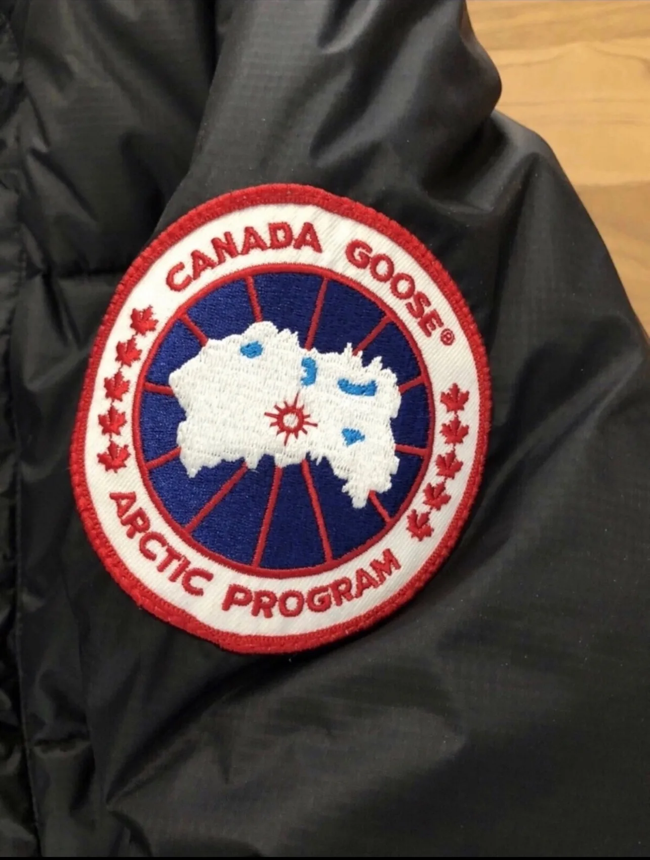 Canada Goose Approach Series - size L image indicator(5)
