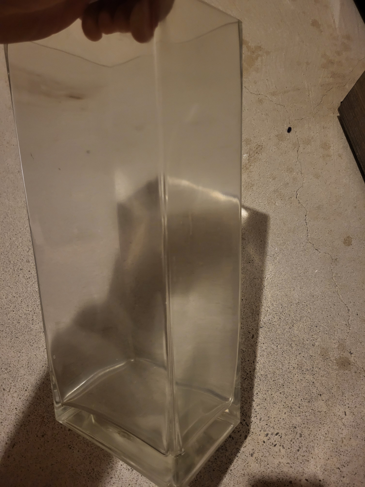 Tall Clear Glass Vase