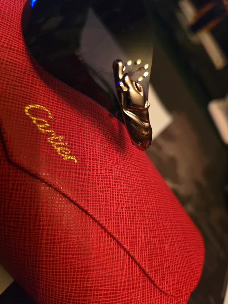 Authentic Cartier Sunglasses image indicator(2)