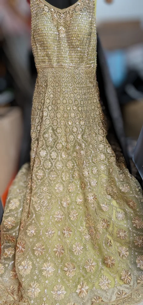 Green  Sequin and Embroidered Dress image indicator(2)