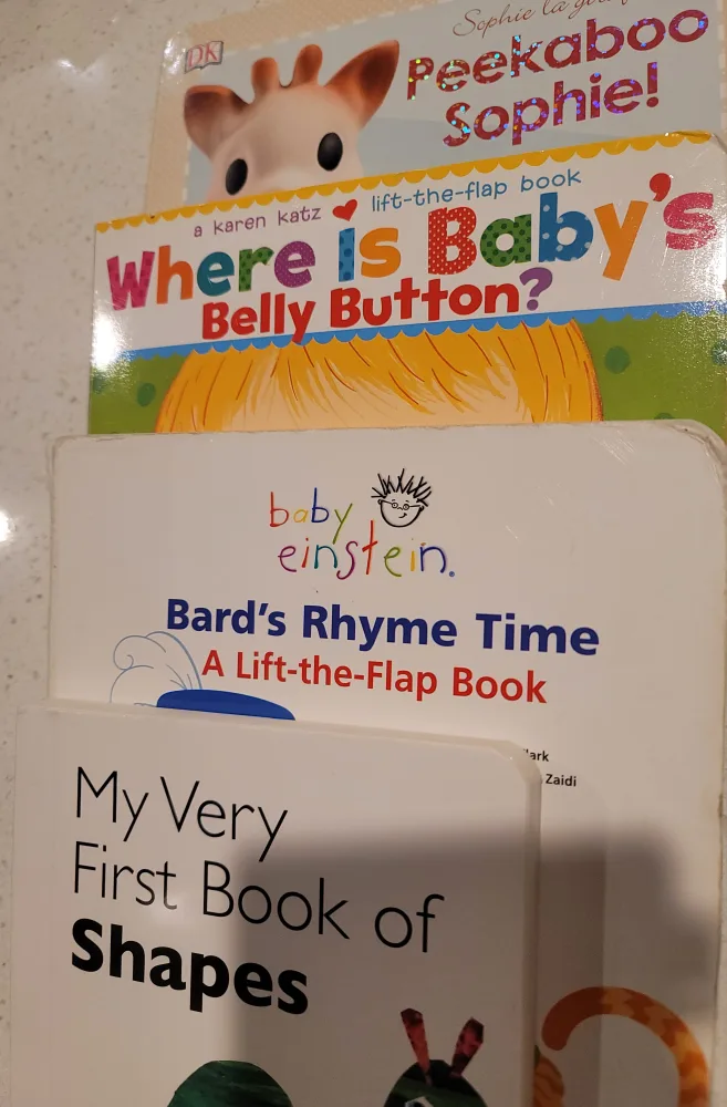 Baby and Toddler Books image indicator(2)