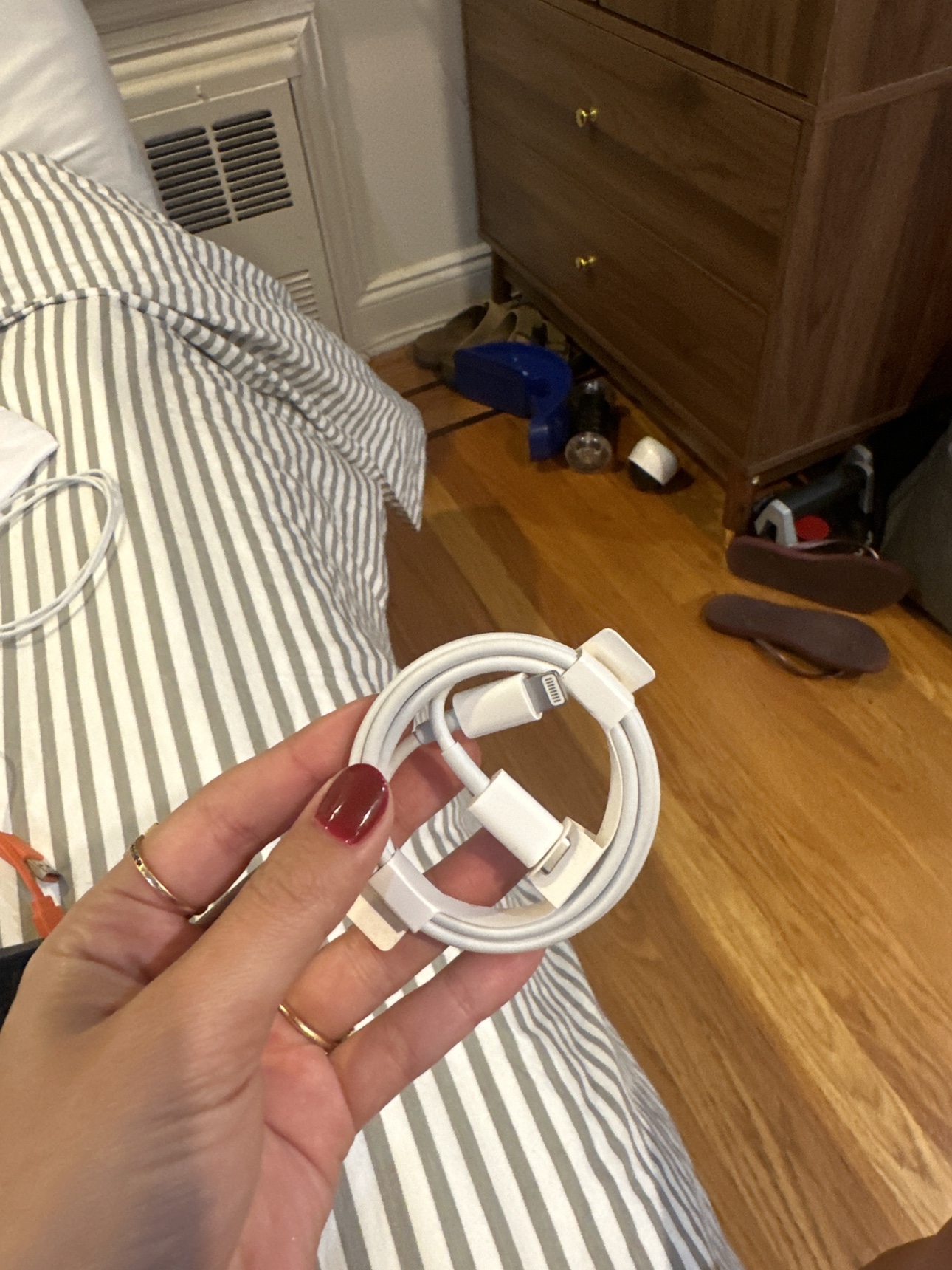 Apple Lightning to USB Cable