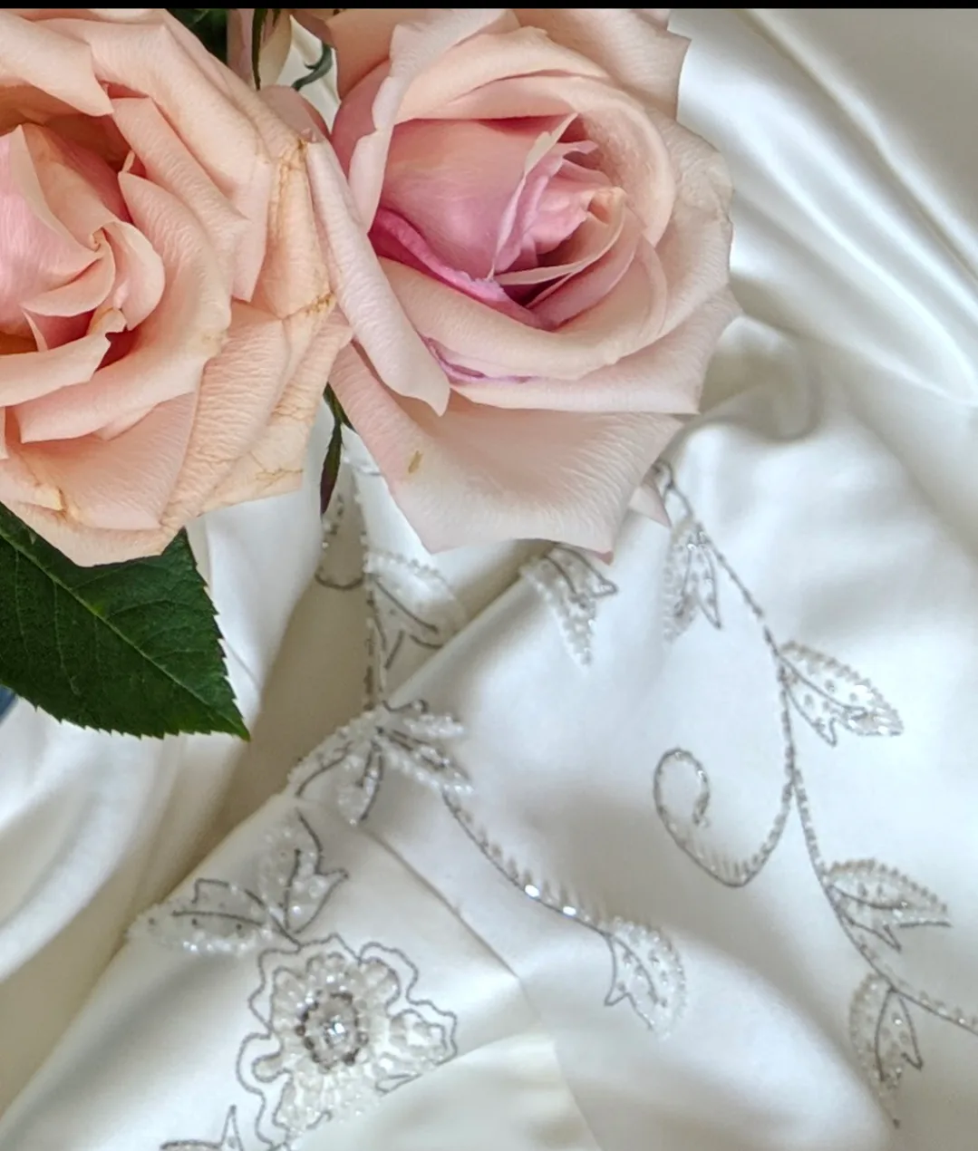 Beautiful Wedding Dress image indicator(2)