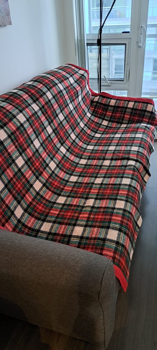 Red and Green Plaid Throw Blanket