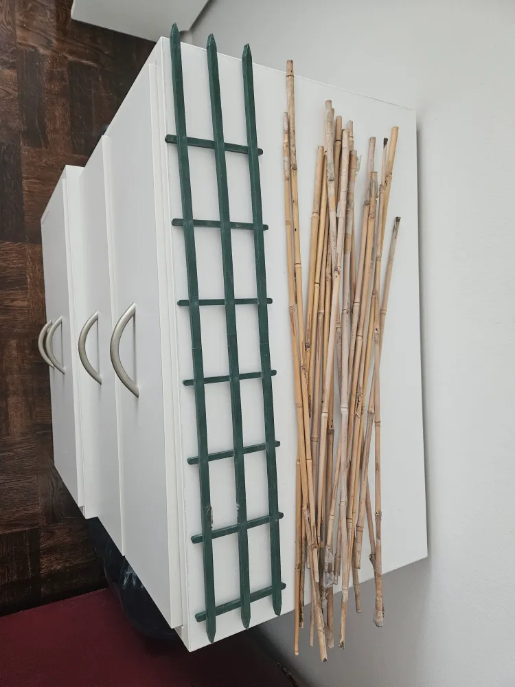 Green Trellis and Bamboo Stakes ❤️ thumbnail