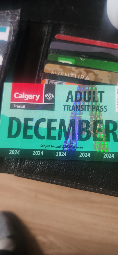Calgary Transit Adult Pass December 2024
