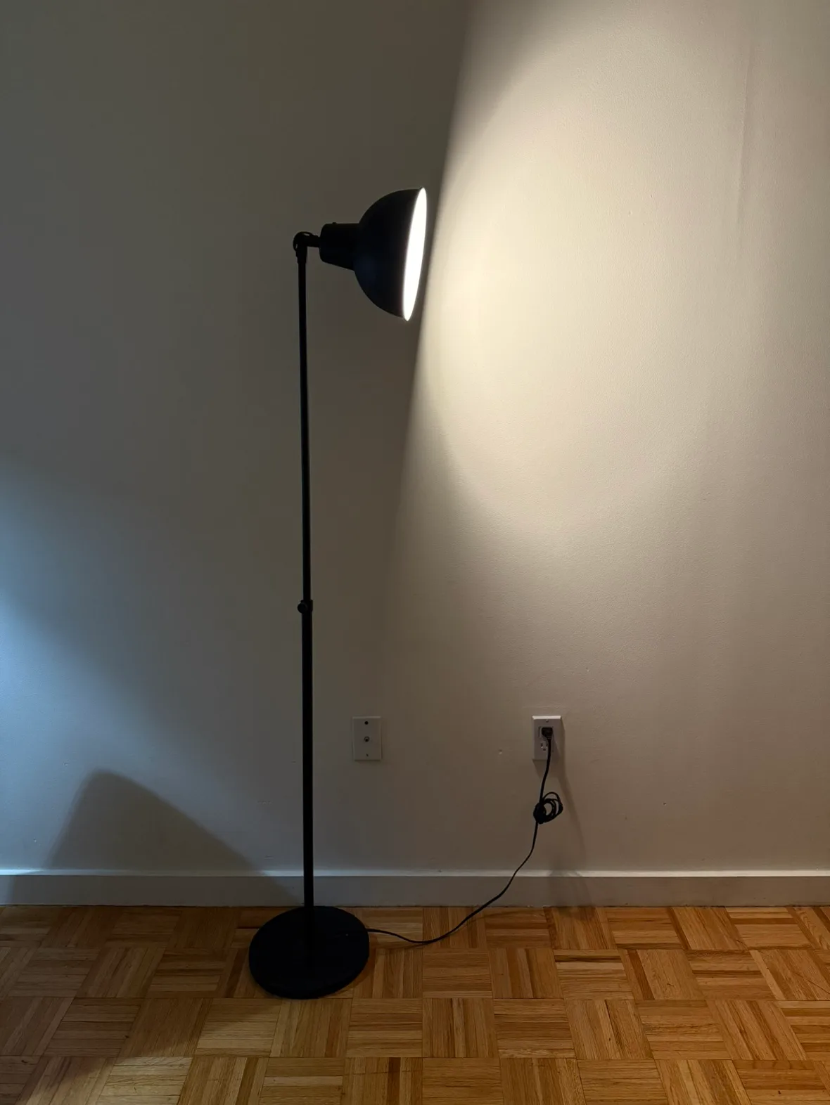 Black Floor Lamp (including a bulb) image indicator(4)