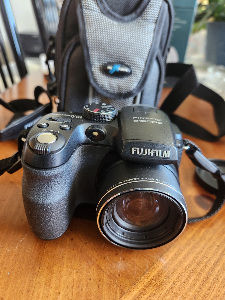 Fujifilm FinePix S1000f Digital Camera