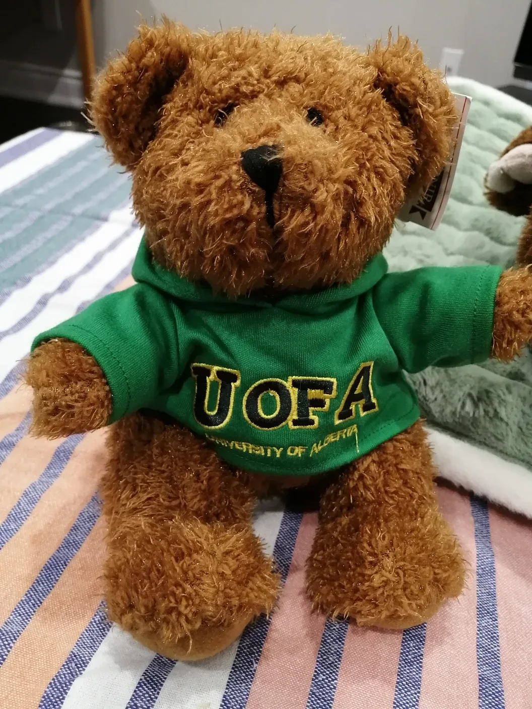 University of Alberta Plush Bear, Moose and Sloth image indicator(2)
