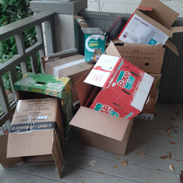 Empty Cardboard Boxes