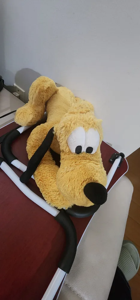 Plush Pluto Toy thumbnail