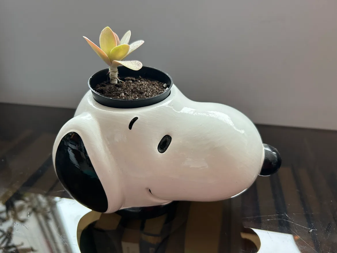 Snoopy Planter thumbnail