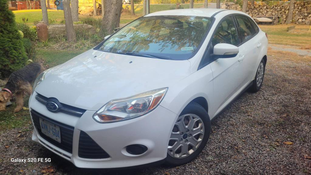 2014 Ford focus se - photo 3