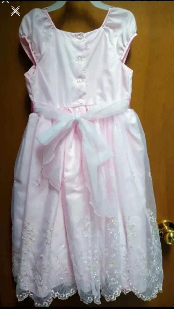 Brand New Girl's Special Occasion Fancy Dress image indicator(2)