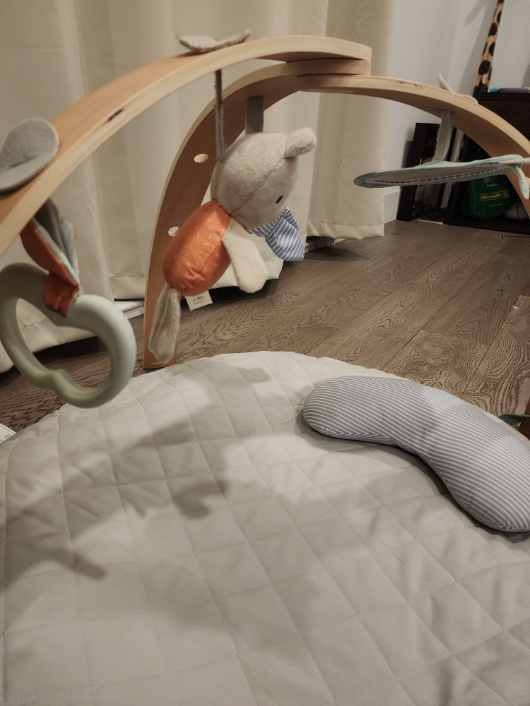 Ingenuity Baby Play Gym with Mat - photo 2
