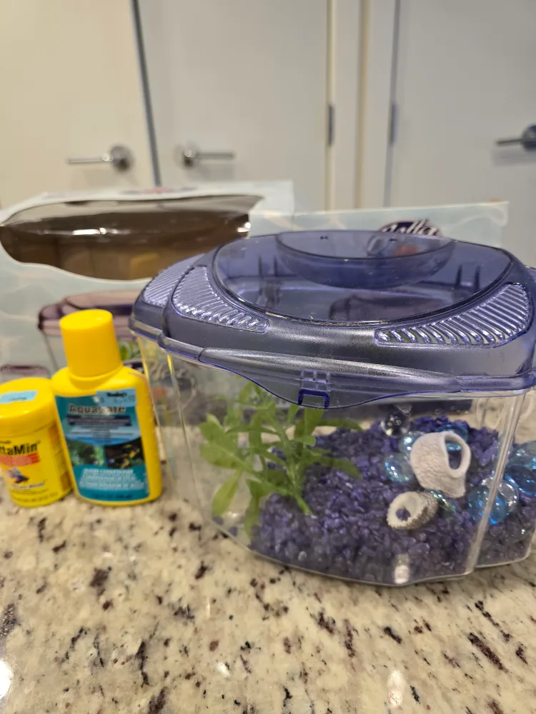 Fish Aquarium, Betta Kit with all accessories image indicator(3)