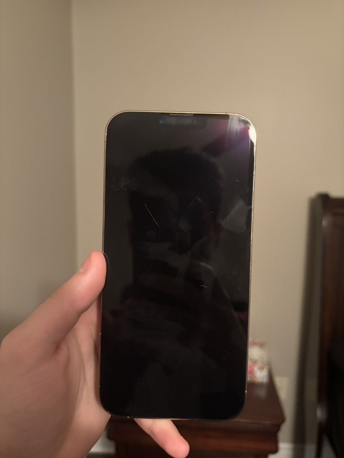 iPhone 13 Pro Max 256GB - photo 3
