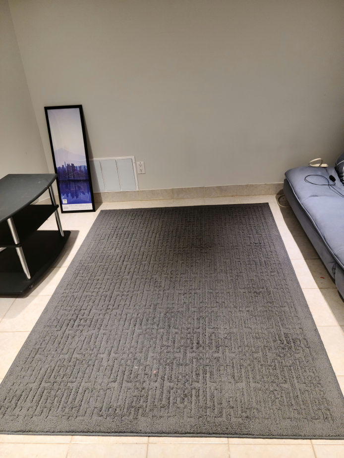 Grey Area Rug