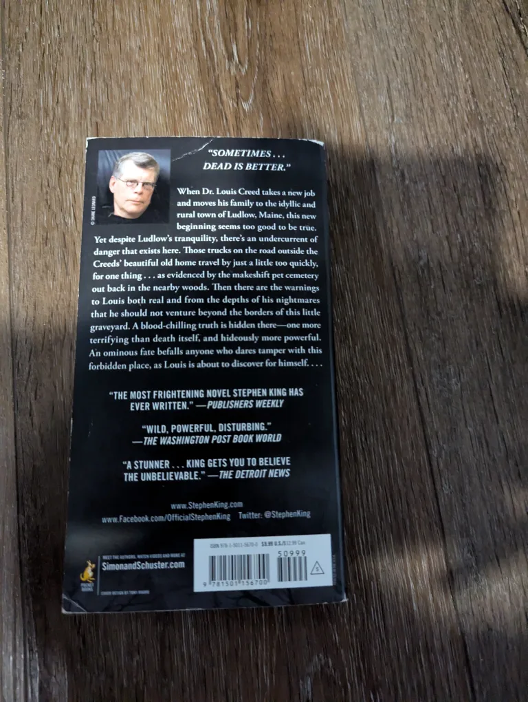 Pet Sematary by Stephen King #ThriftyPicks image indicator(3)