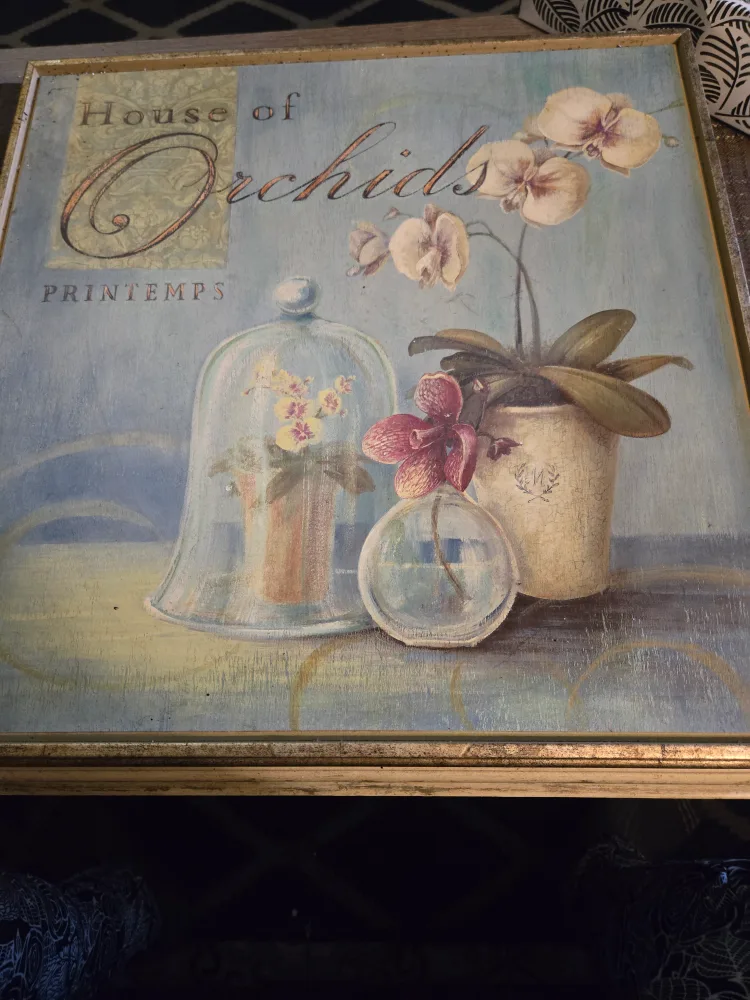 Art in Motion - House of Orchids Print thumbnail
