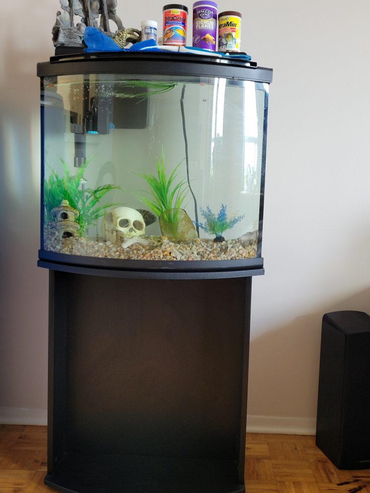 29 gallon bowfront Aquarium with Stand - photo 2