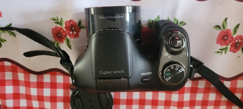 Sony Cyber-shot DSC-H200 Digital Camera image indicator(3)