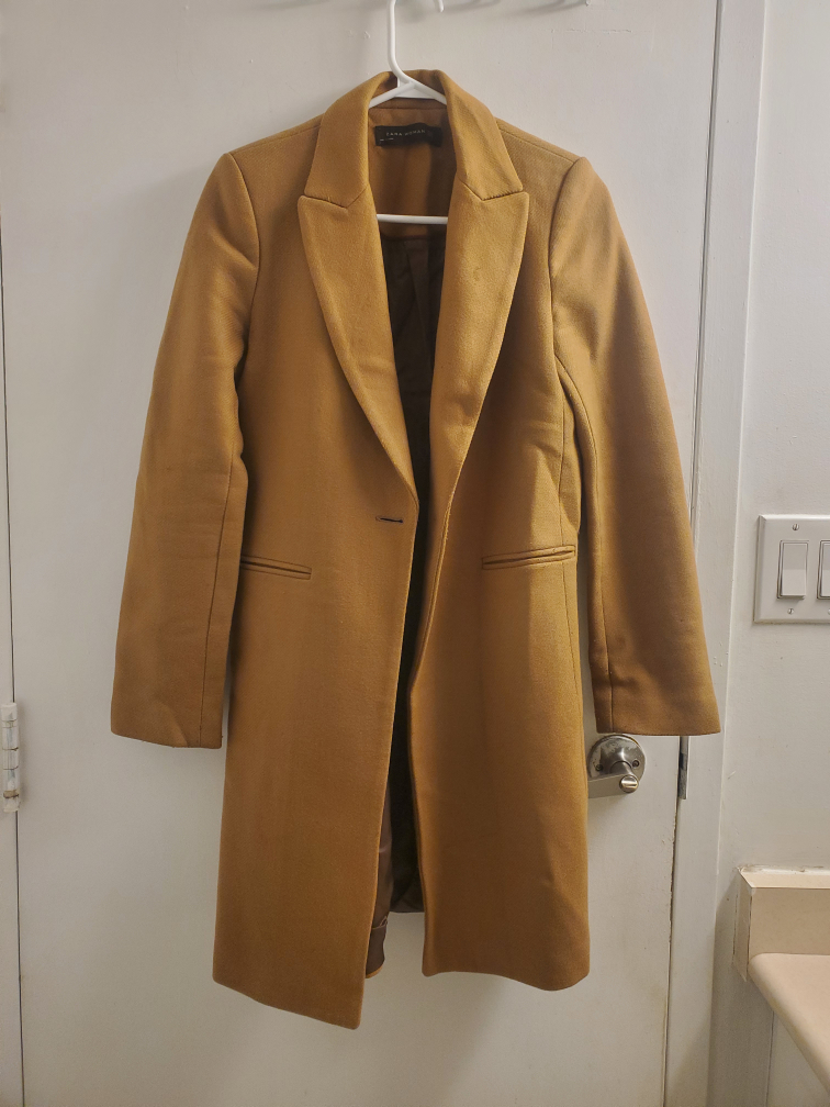 Zara Women's Brown Coat
