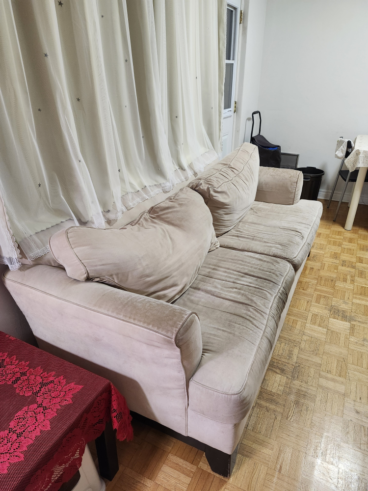 Must Go - Sofa / Couch (Good Condition) - photo 2