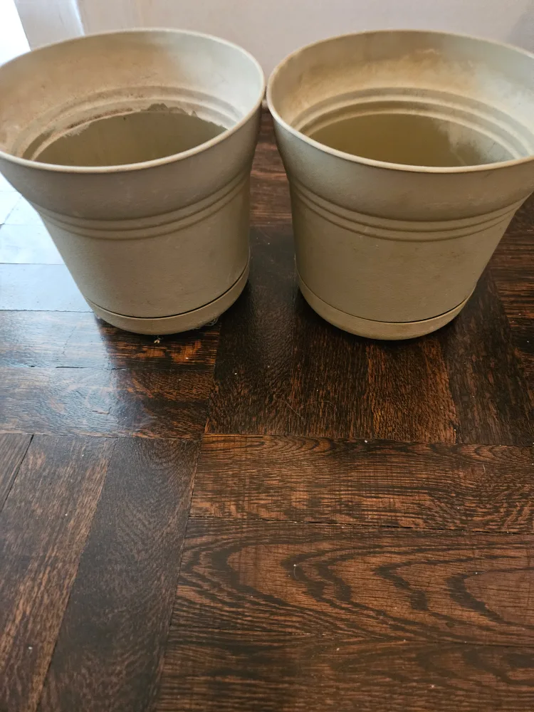 Two Plant Pots ❤️ thumbnail