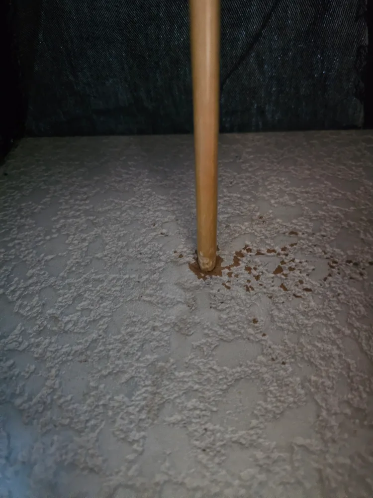 Barbie tent in 80s image indicator(6)