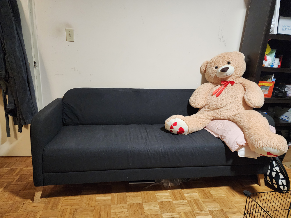 IKEA Söderhamn Sofa
