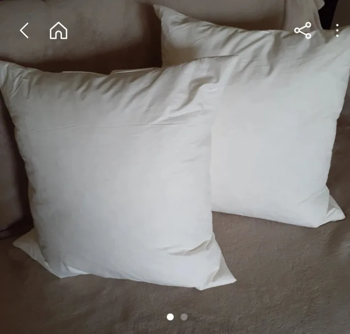 2 Duck Down Feather Pillow Inserts thumbnail